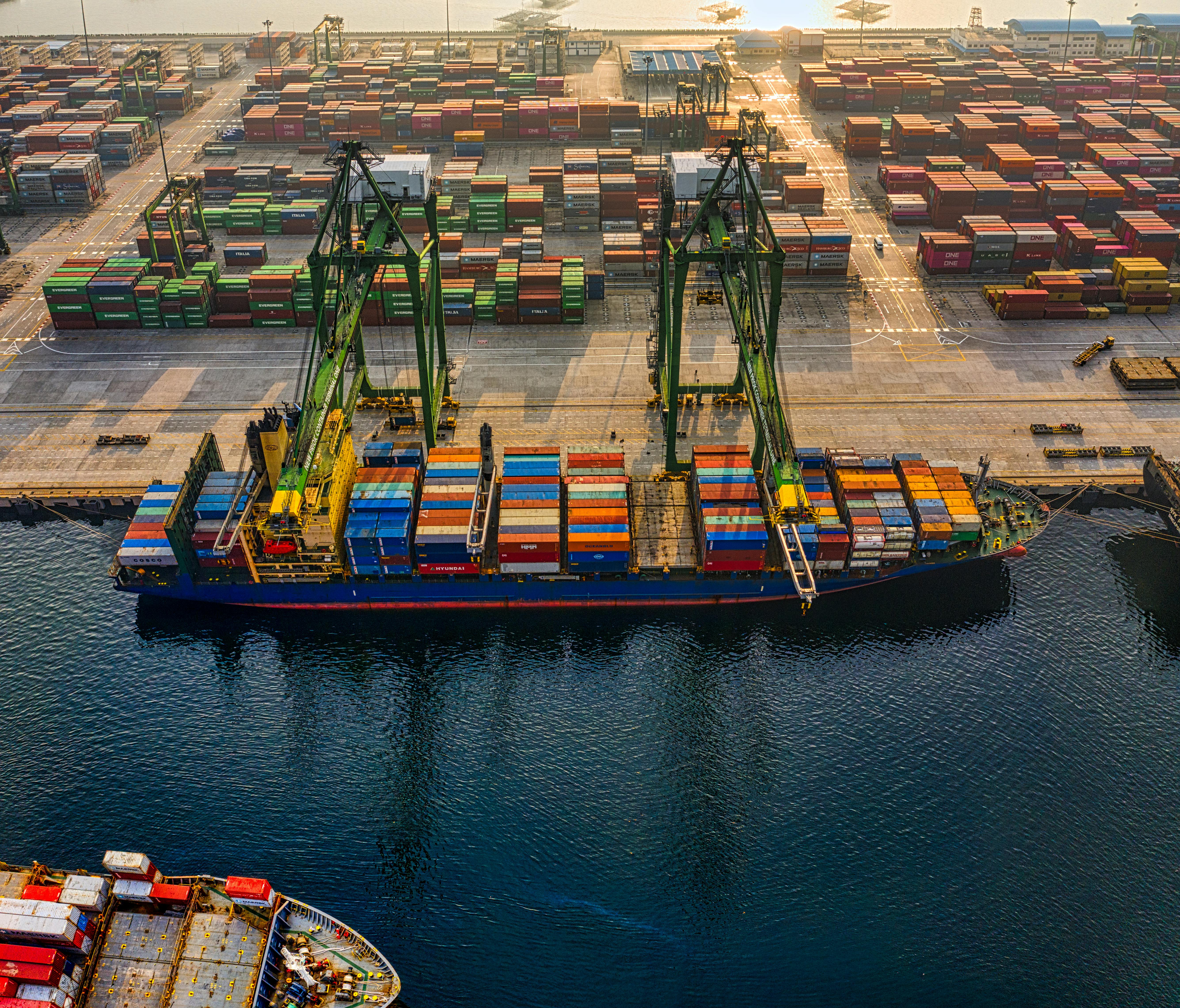 Import & Export Activities